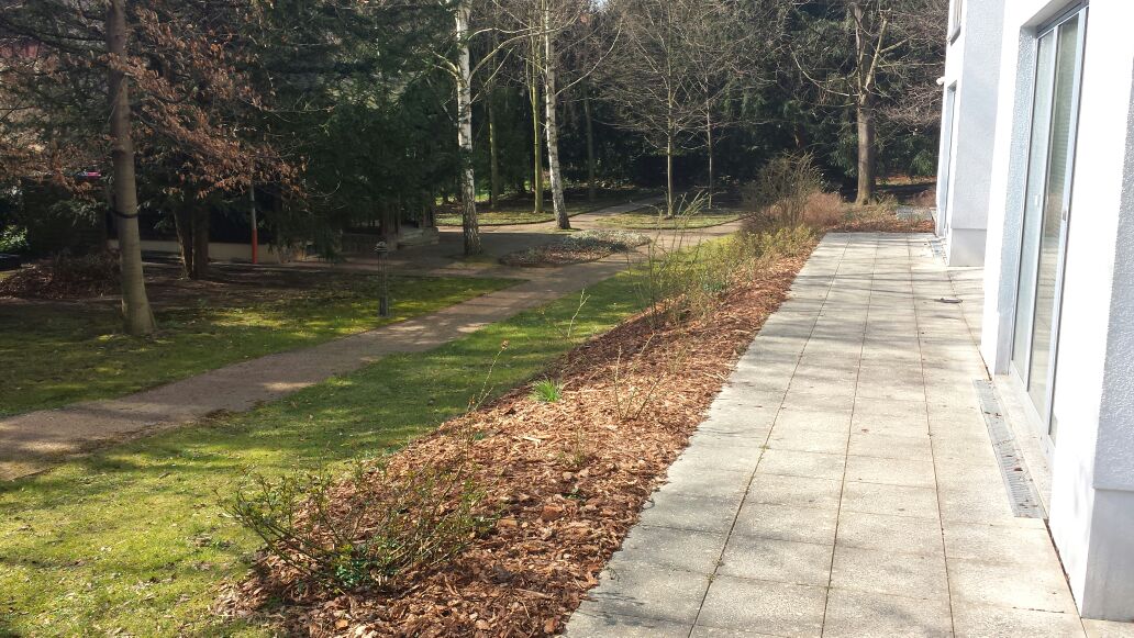 HausMeisterService055