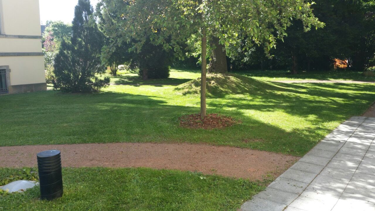 HausMeisterService006