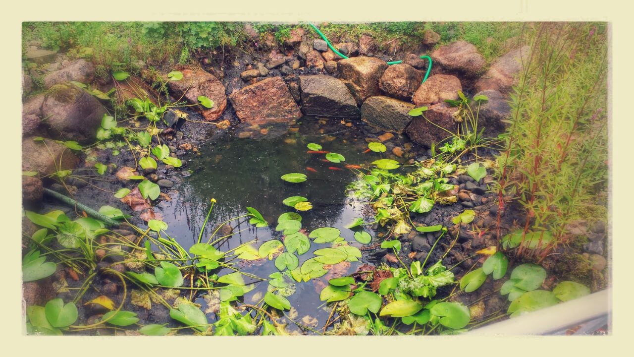 HausMeisterService027